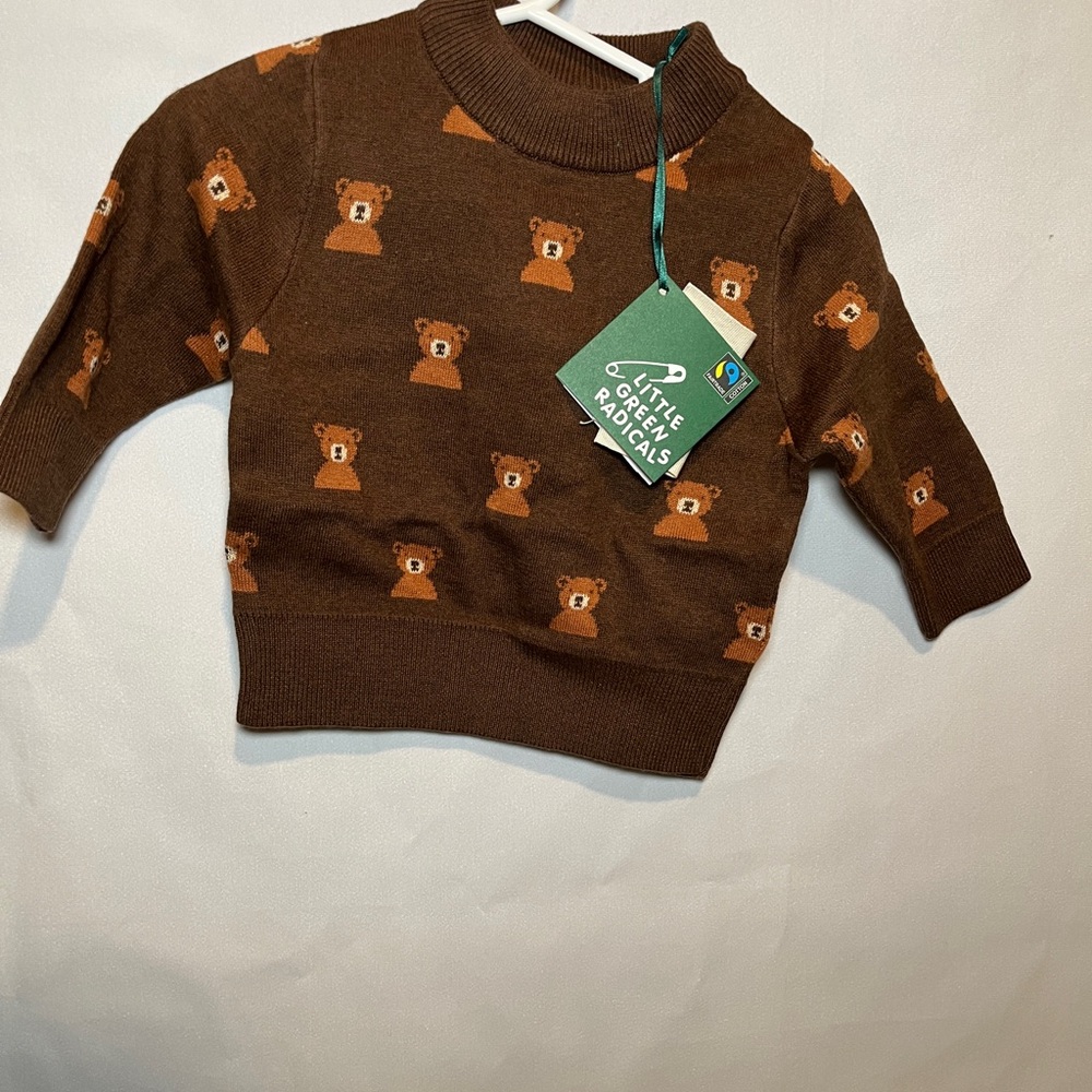 Little Green Radicals Brown Bear Sweater
